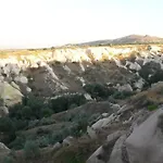Pigeon Cappadocia