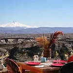 Pigeon Cappadocia *