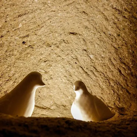 Pigeon Cappadocia Проживание в семье *