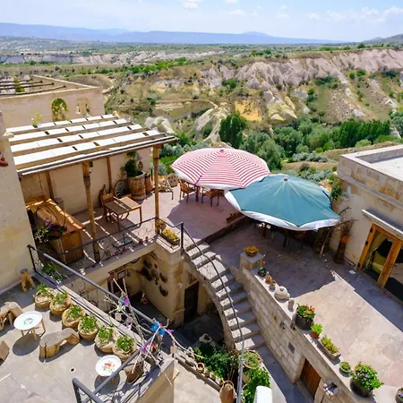 Pigeon Cappadocia Uchisar