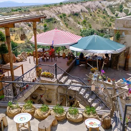Pigeon Cappadocia