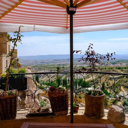 Pigeon Cappadocia * Uchisar