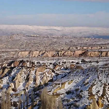 Pigeon Cappadocia * Учисар