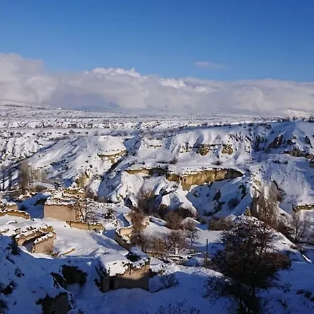 Pigeon Cappadocia