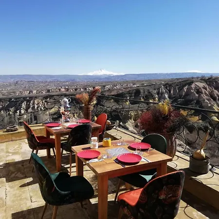Pigeon Cappadocia