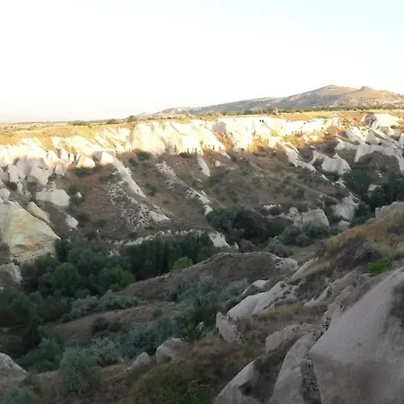 Pigeon Cappadocia
