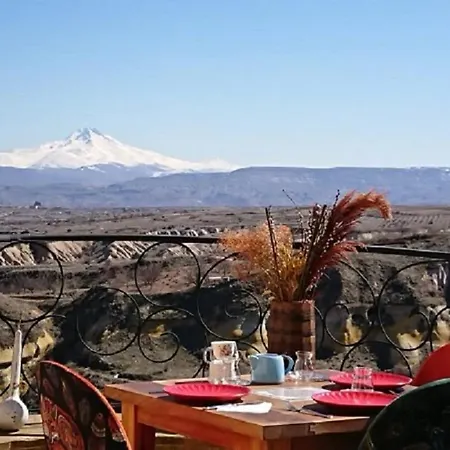 Pigeon Cappadocia *