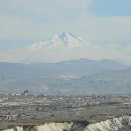 Pigeon Cappadocia *