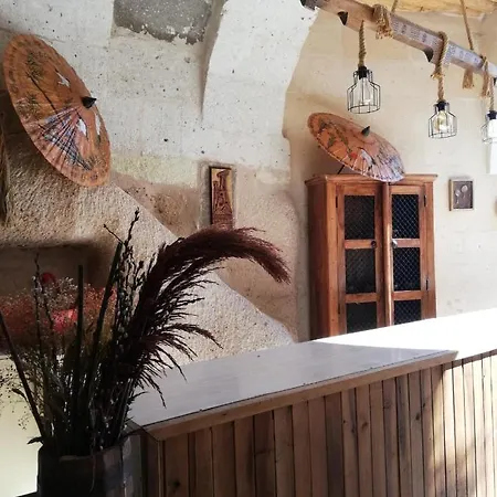 Pigeon Cappadocia * Uchisar