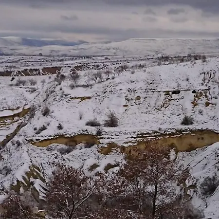 Pıgeon Cappadocia Uçhisar
