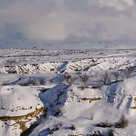 Проживание в семье Pigeon Cappadocia Учисар