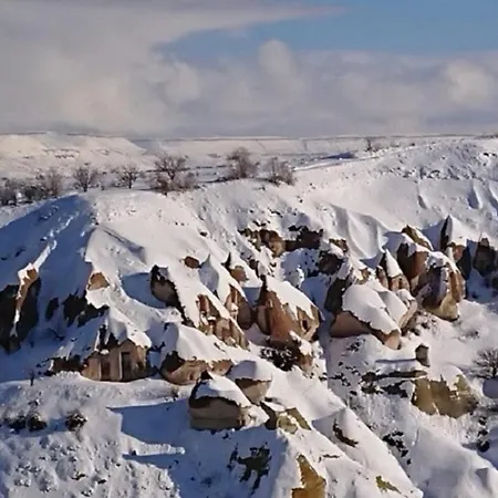 Pigeon Cappadocia Uchisar