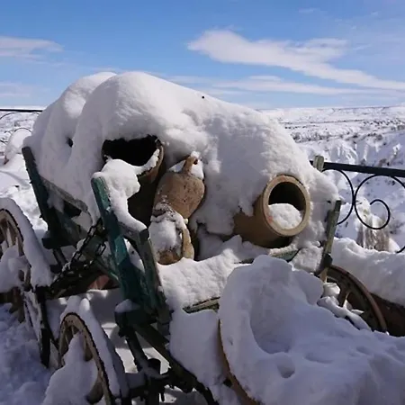Проживание в семье Pigeon Cappadocia *