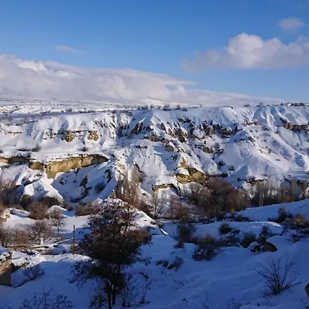Pigeon Cappadocia
