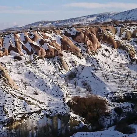 Pigeon Cappadocia Privatunterkunft Uchisar