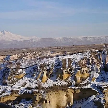 Pigeon Cappadocia Rum i privatbostad
