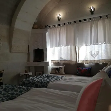 Pigeon Cappadocia Uçhisar