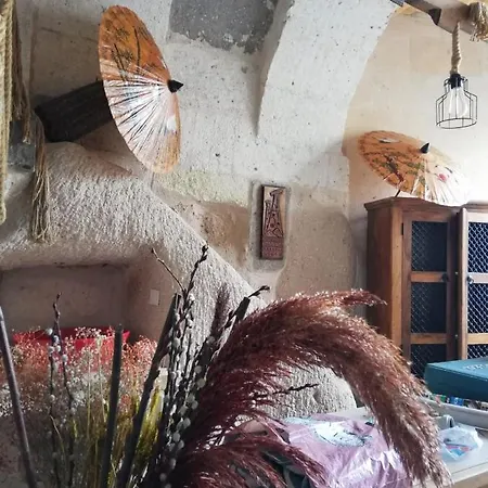 Pigeon Cappadocia Uçhisar