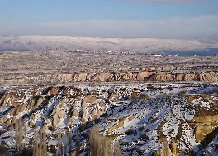Pigeon Cappadocia * Учисар