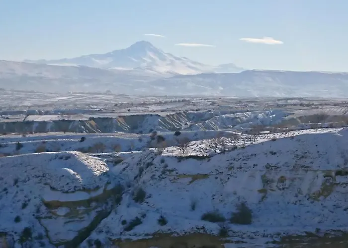 Pigeon Cappadocia Проживание в семье Учисар