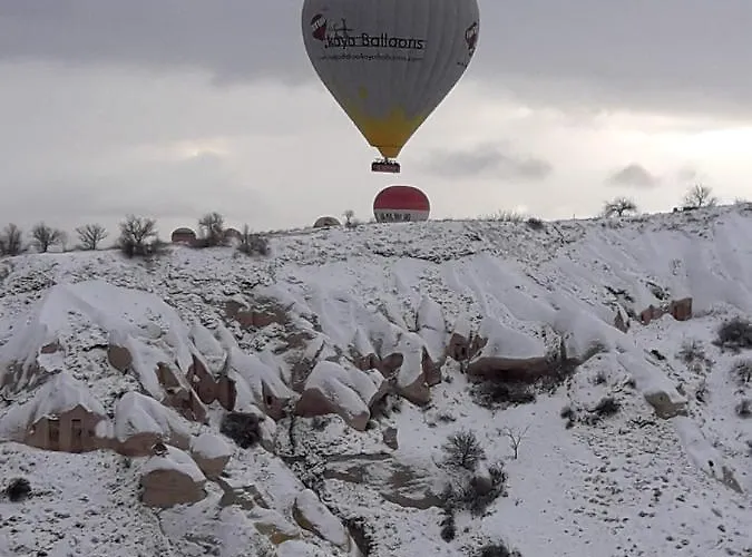 Pigeon Cappadocia Проживание в семье Учисар