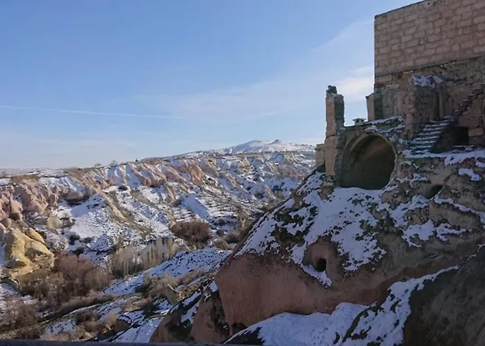 Pigeon Cappadocia Проживание в семье *