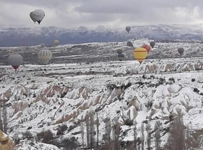 Pigeon Cappadocia Проживание в семье