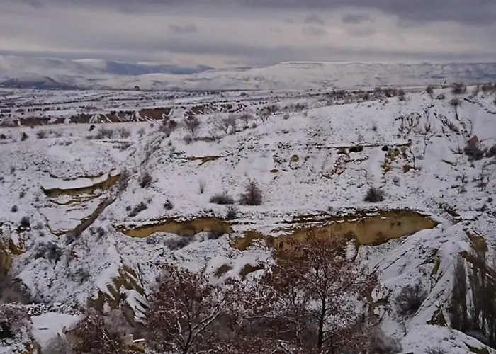 Pigeon Cappadocia Учисар