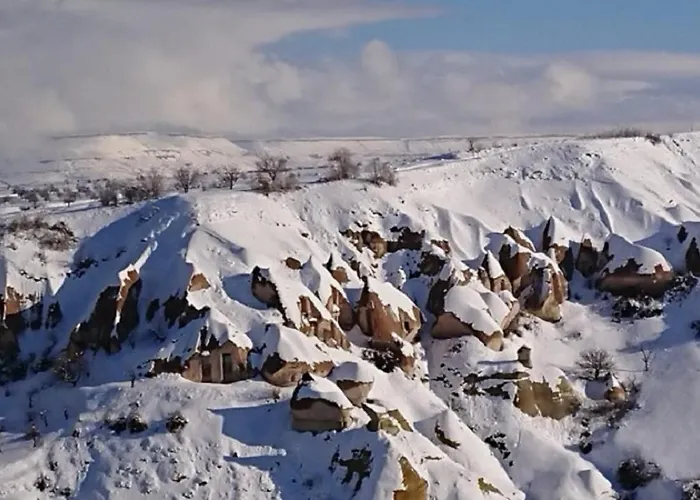 Pigeon Cappadocia Uçhisar