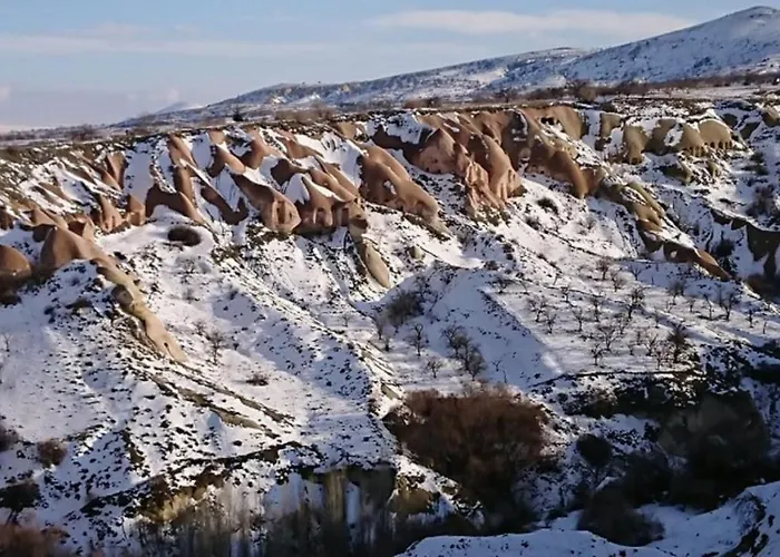 Pigeon Cappadocia Проживание в семье Учисар