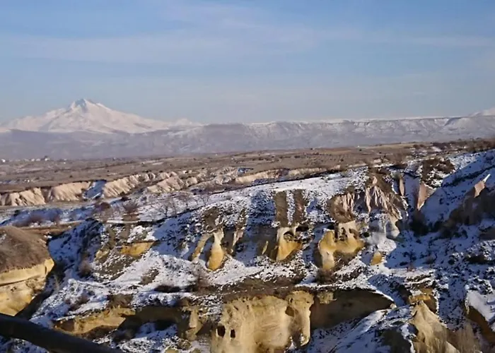 Pigeon Cappadocia Проживание в семье