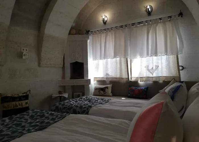 Pigeon Cappadocia Uçhisar