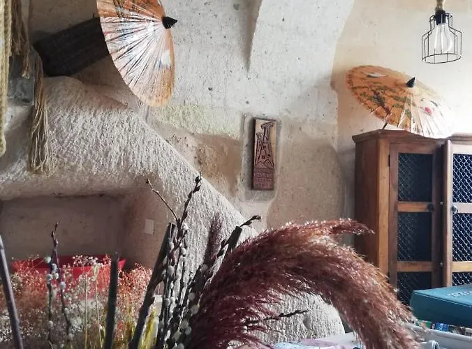 Pigeon Cappadocia Uçhisar