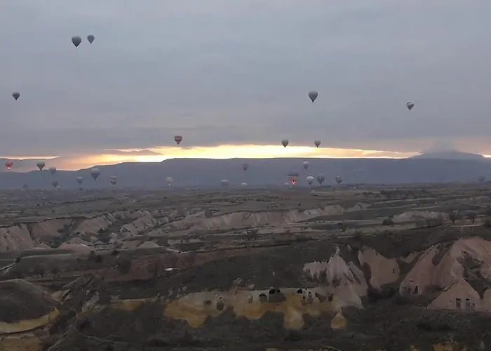 Pigeon Cappadocia Проживание в семье