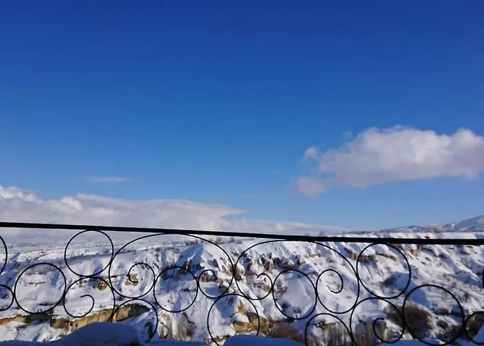 Pigeon Cappadocia Проживание в семье Учисар